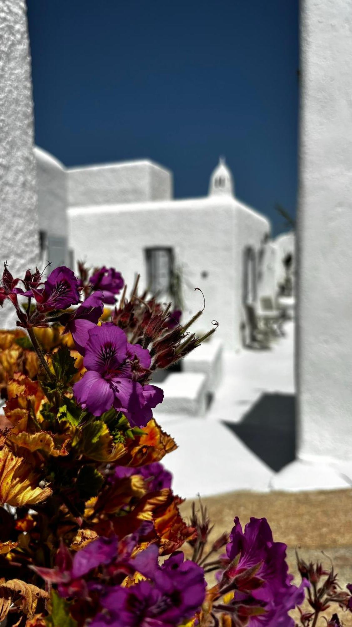 Vougli View Mykonos Hotel Drafaki Exterior photo